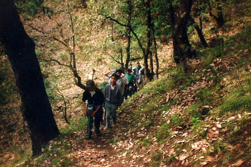 School students doing the Nagtibba trek with us