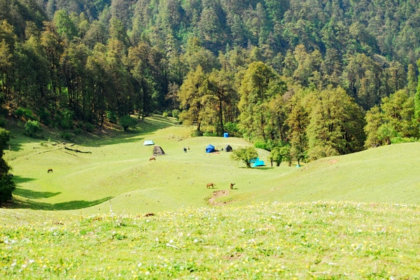 campsite at barnala, a few km before dayara bugyal while doing this trek