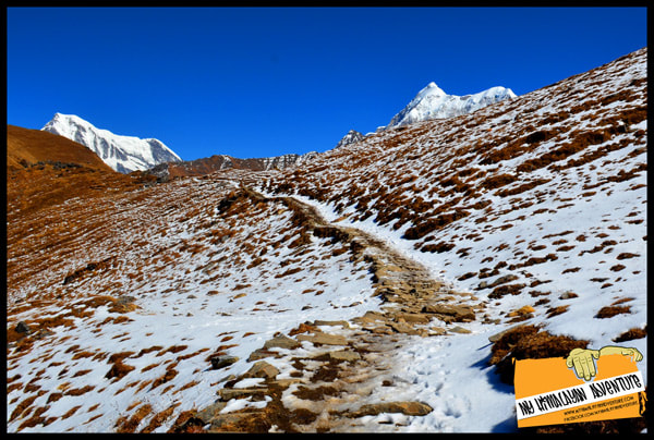 The trail to roopkund trek from Bedni Bugyal