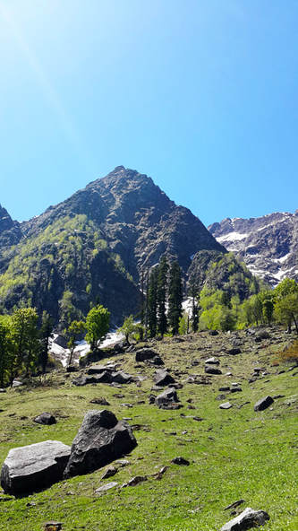 Grassy meadows lined with snow mountains during the trek