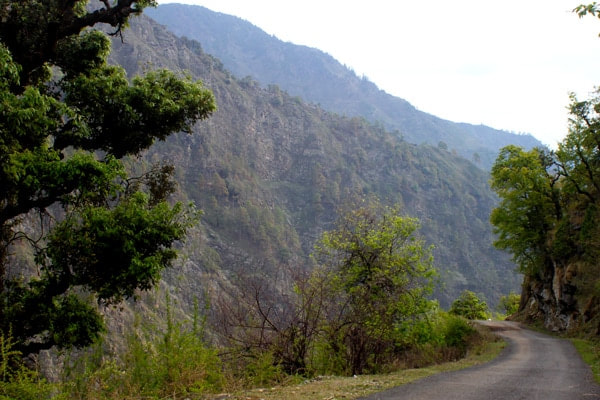 The drive between Bhatwari and Barsu during the Dayara Bugyal trek