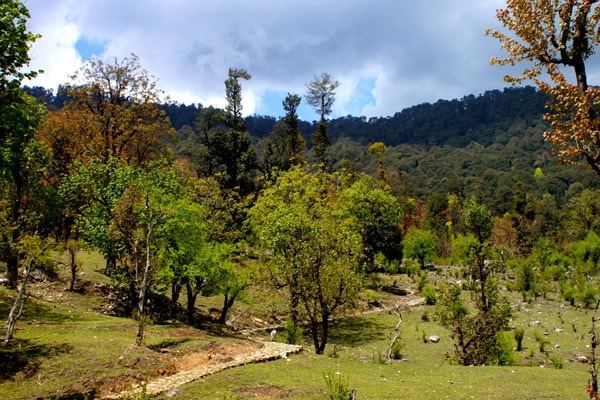 The trail from Barsu to Barnala during the Dayara Bugyal trek