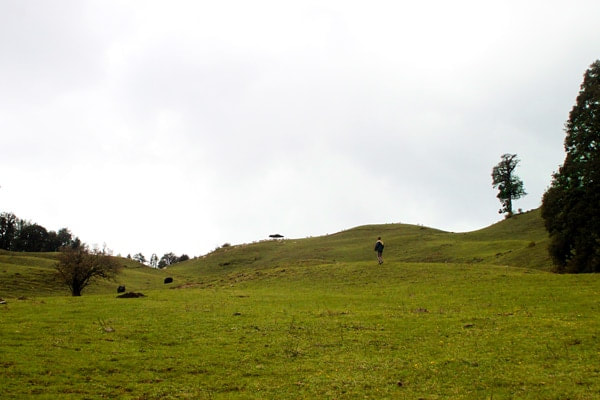 The slopes of Barnala