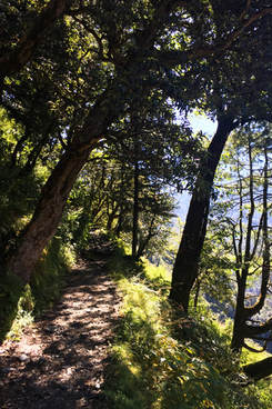 Trail between Bewra and Manjhi during the Dodital trek